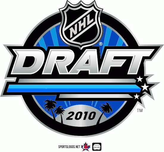 NHL Draft 2010 Primary Logo iron on transfers for T-shirts
